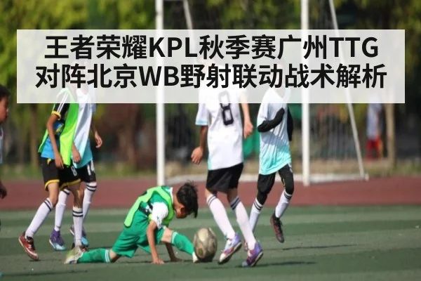 王者荣耀KPL秋季赛广州TTG对阵北京WB野射联动战术解析（c7c7.app）